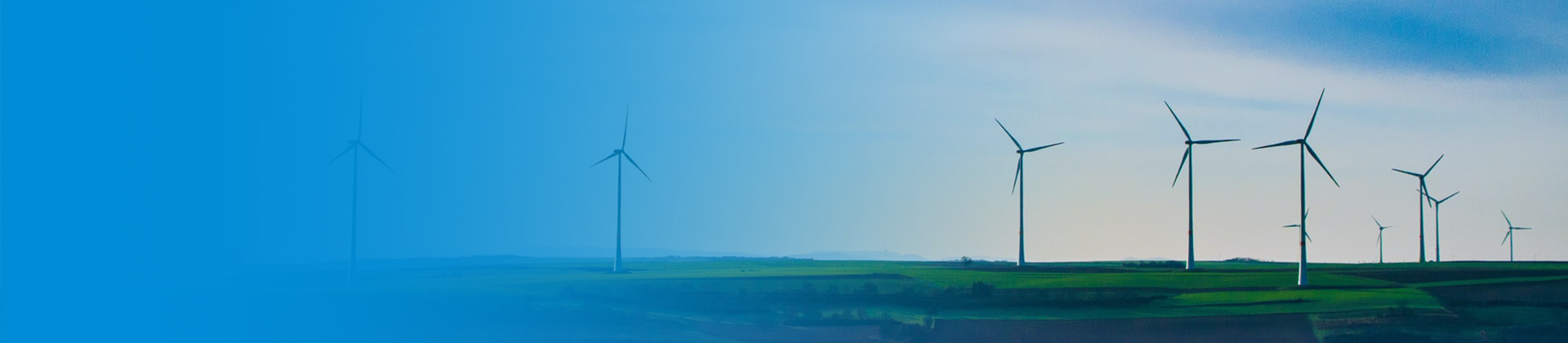 APPLICATION FIELD